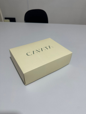 Caixa Presente 27x20x8cm tampa e fundo