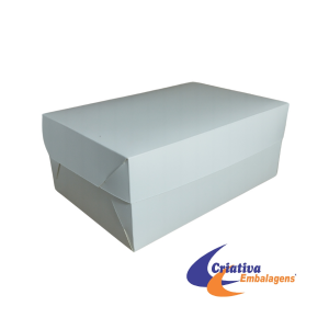 CAIXA 22X15X9CM