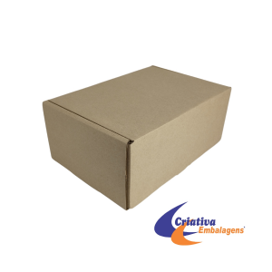 CAIXA ESTOJO 30X20X12CM