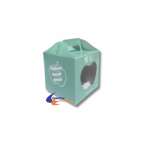 CAIXA 10X10X10CM COM AL�A E VISOR