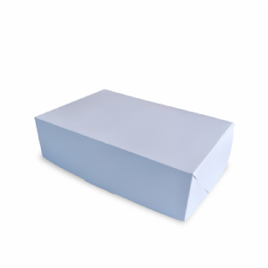 Caixa 22x14x5cm antivazamento