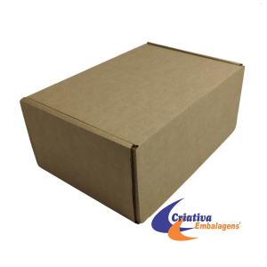 CAIXA ESTOJO 19X13X8CM