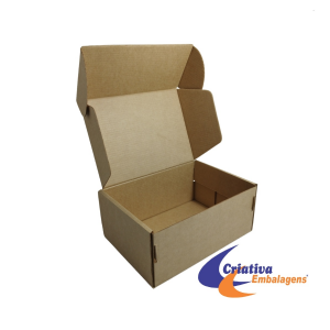 CAIXA ESTOJO 19X13X8CM