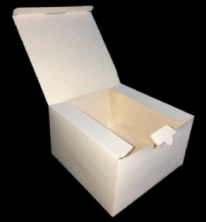 Caixa 19,5x19,5x11,5 com trava