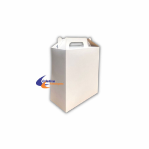 Caixa com ala 20x10x22cm