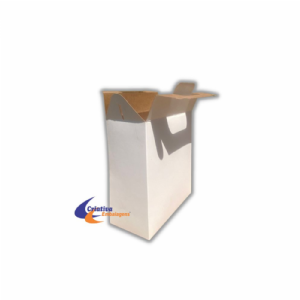 Caixa com al�a 20x10x22cm