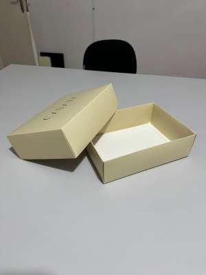 Caixa Presente 27x20x8cm tampa e fundo