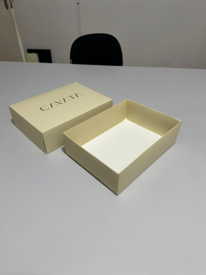 Caixa Presente 27x20x8cm tampa e fundo