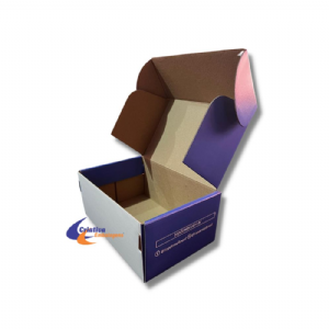 Caixa estojo 20x13x9 micro acoplada