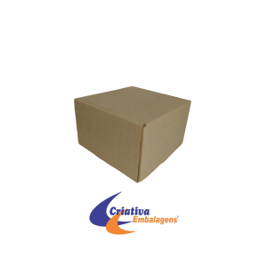 CAIXA ESTOJO 20X20X13CM