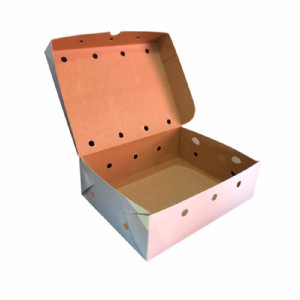 Caixa 21x14x5,5cm / por��o