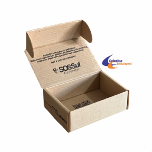 CAIXA ESTOJO 21X15X7CM