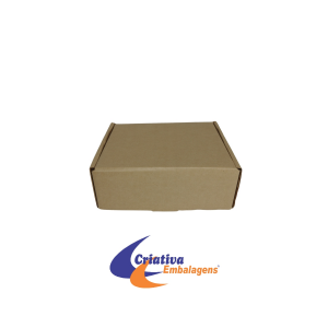 CAIXA ESTOJO 21X18X8CM