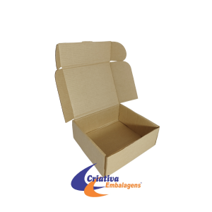 CAIXA ESTOJO 21X18X8CM