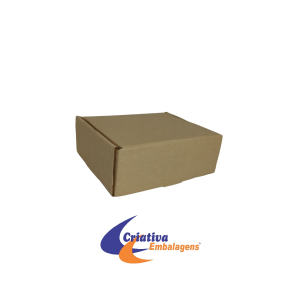 CAIXA ESTOJO 21X18X8CM