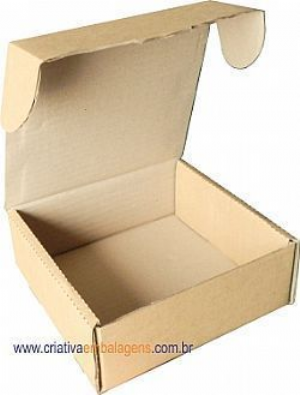 Caixa estojo 22x15x7cm