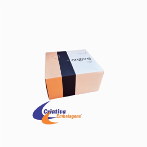 Caixa estojo 22x20x12cm - micro acoplada