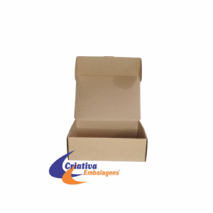 CAIXA ESTOJO 24X18,5X8CM