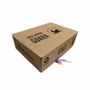 Caixa para 12und de ovos 24x18,5x8