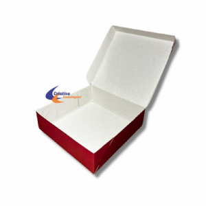 CAIXA PARA DONUTS 24X24X7cm