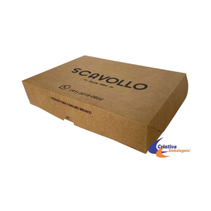 CAIXA 25X20X7CM