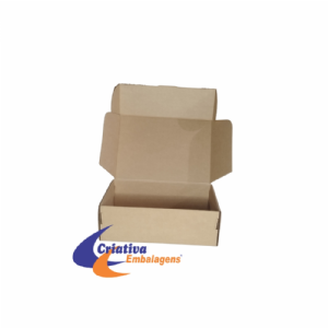 Caixa estojo 25x17x8cm Micro acoplado