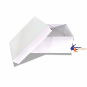 Caixa 25x20x12 tampa e fundo