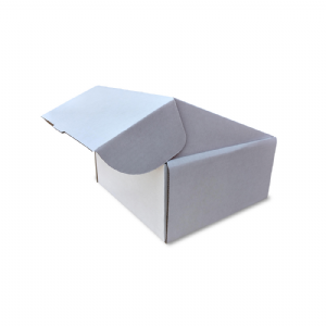 Caixa estojo 25x24x12cm