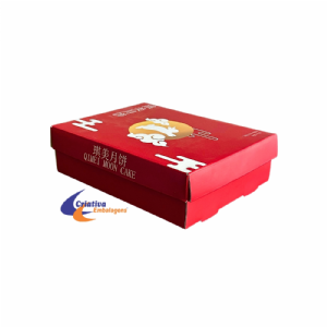 CAIXA 26X20X7CM TAMPA E FUNDO COM BER�O - MICRO ACOPLADO