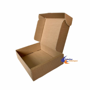 Caixa estojo 26x20x7