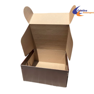 Caixa estojo 30x24x15 Micro acoplado