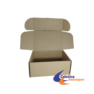 CAIXA ESTOJO 30X20X12CM
