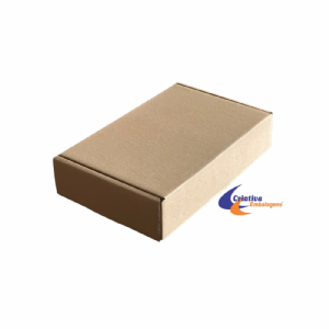 CAIXA ESTOJO 32X20,5X7CM