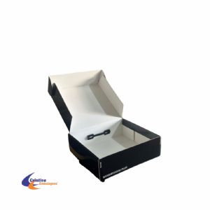 CAIXA ESTOJO 36X32X11CM COM AL�A DE PL�STICO