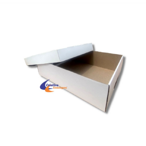 Caixa Tampa e Fundo - 38x29x10