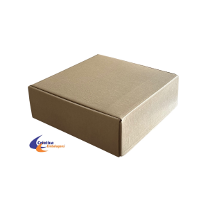 CAIXA ESTOJO 46X44,5X15CM