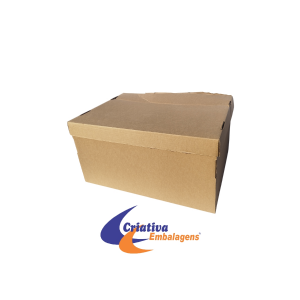 CAIXA 51X38X25CM - TAMPA E FUNDO