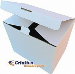 Caixa estojo 30x21x25cm