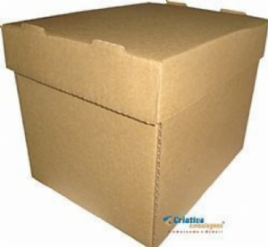 Caixa 25x20x20cm com tampa remov�vel