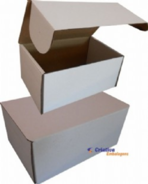 Caixa estojo 31x27x15cm