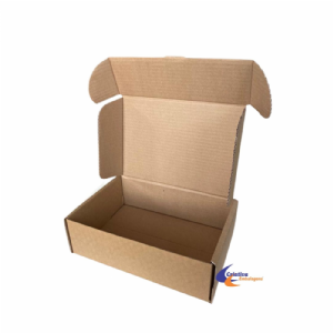 CAIXA PARA CORREIOS 25x17x8cm ESTOJO
