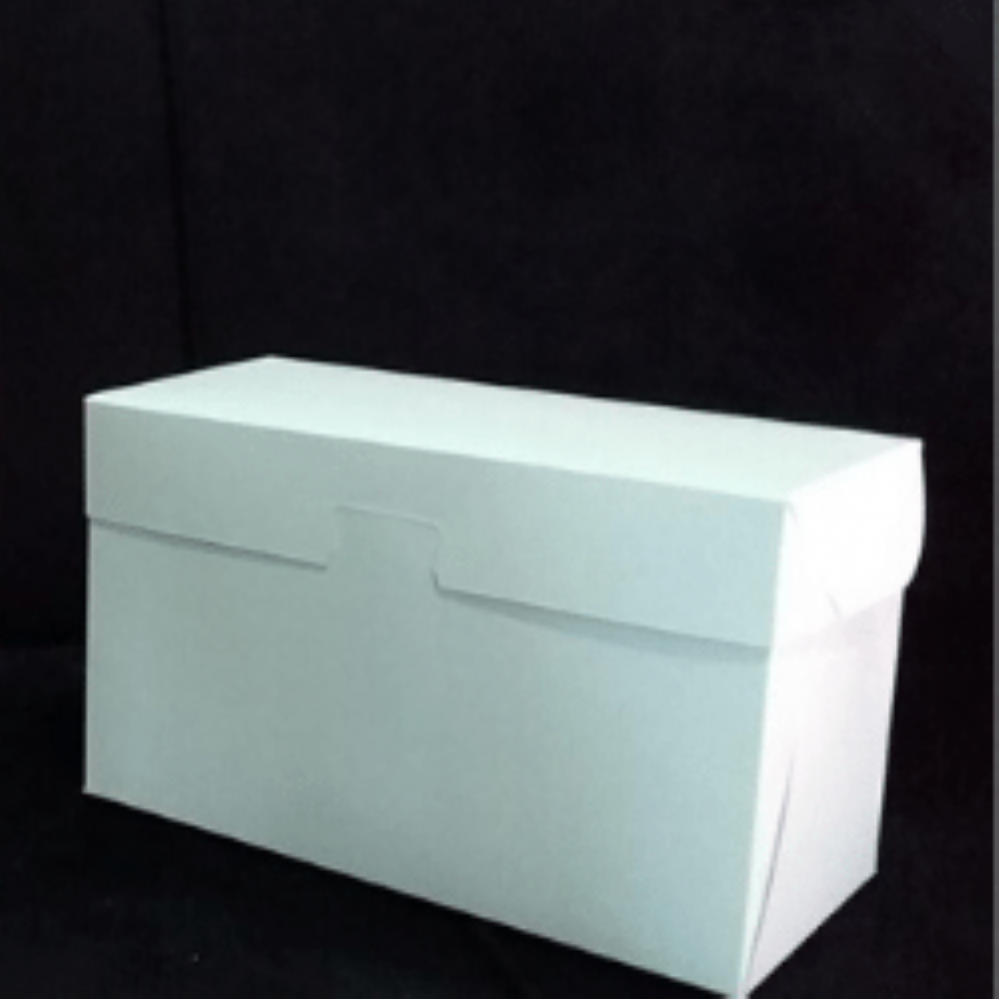 CAIXA 23X11X14 COM TRAVA